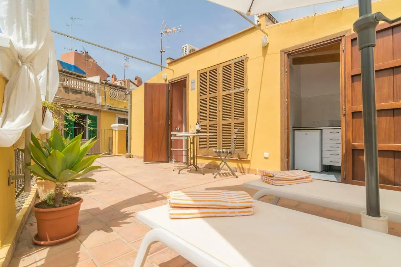 Miraclet - Adults Only Villa Palma de Mallorca 0*,  Spain
