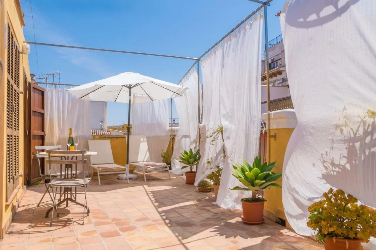 Miraclet - Adults Only Villa Palma de Mallorca
